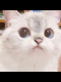 Avatar de Sodacopada