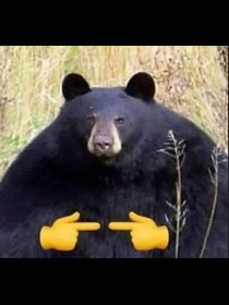 Avatar de FabiusMagnus